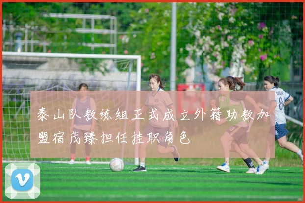 泰山队教练组正式成立外籍助教加盟宿茂臻担任挂职角色